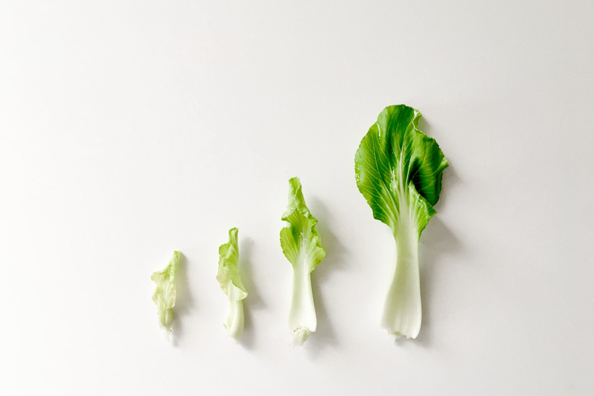 Alimentación saludable y equilibrada